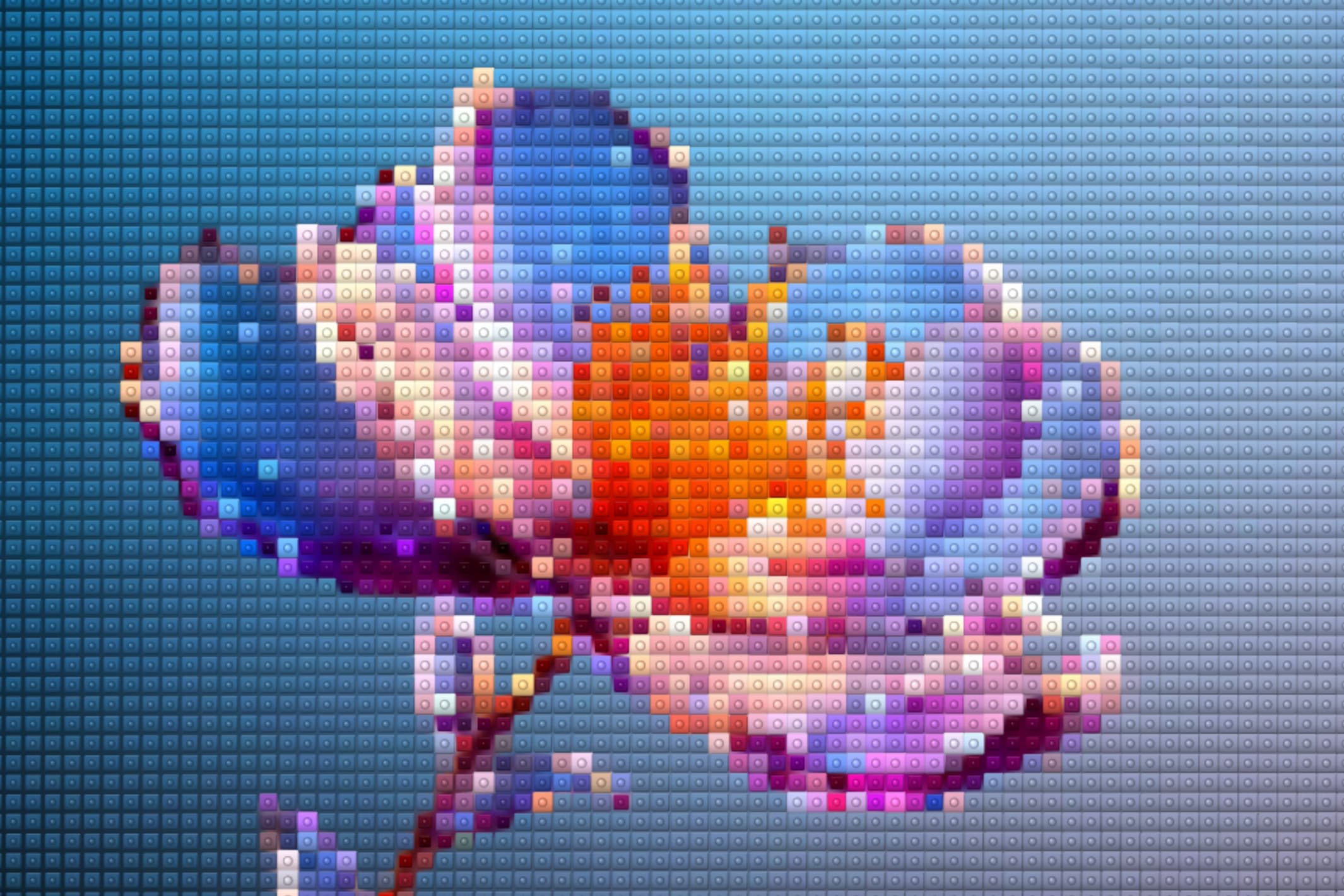 Halftone effect on yellow flower